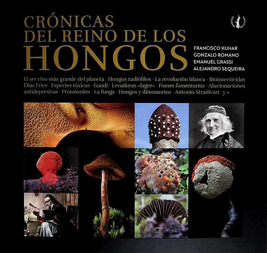 CRONICAS DEL REINO DE LOS HONGOS | FRANCISCO/ ROMANO GONZALO/ GRASSI EMANUEL/ SEQUE