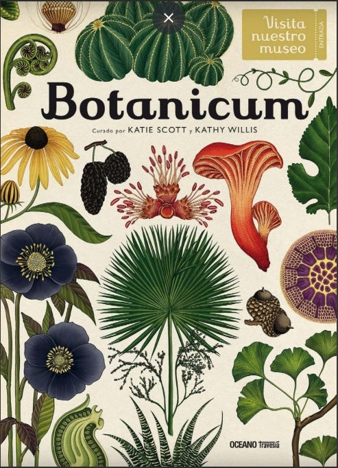 BOTANICUM | KATIE / BROOM JENNY SCOTT