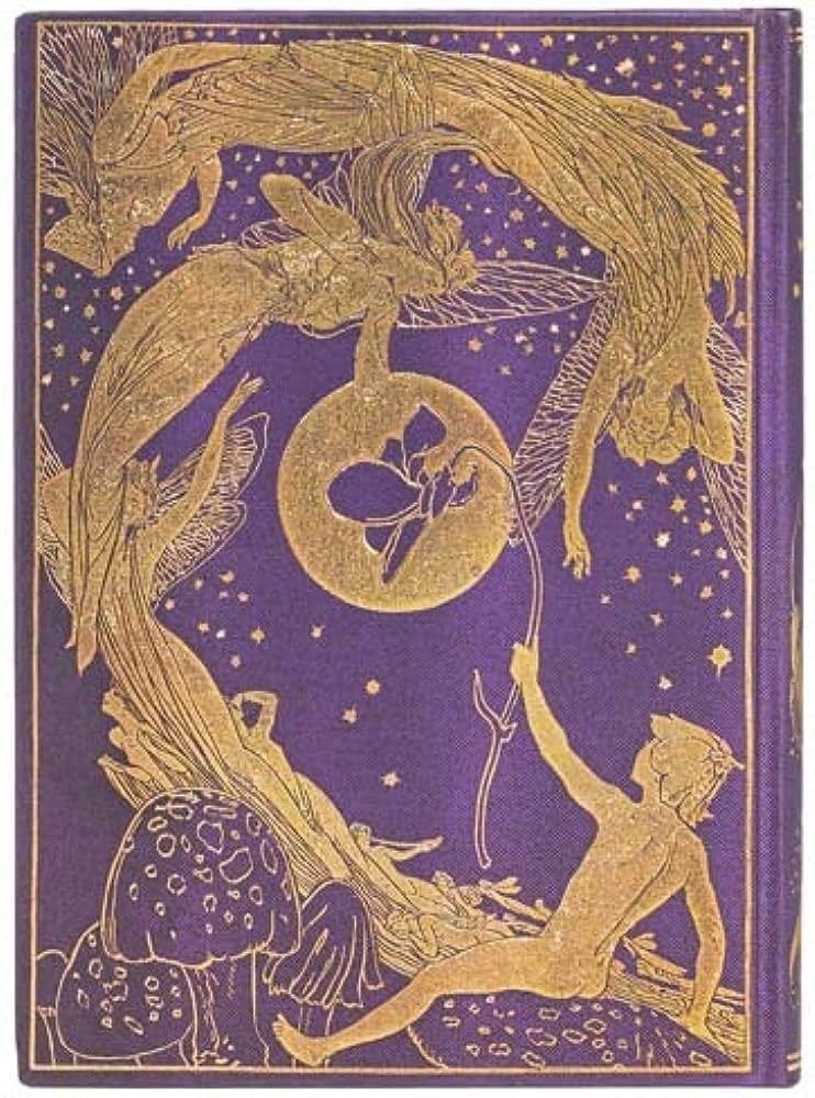 HADA VIOLETA MIDI RENGLONES