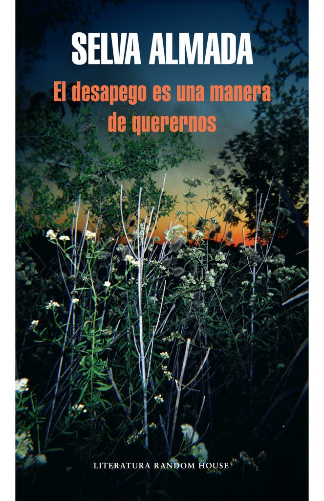 DESAPEGO ES UNA MANERA DE QUERERNOS, EL | SELVA ALMADA