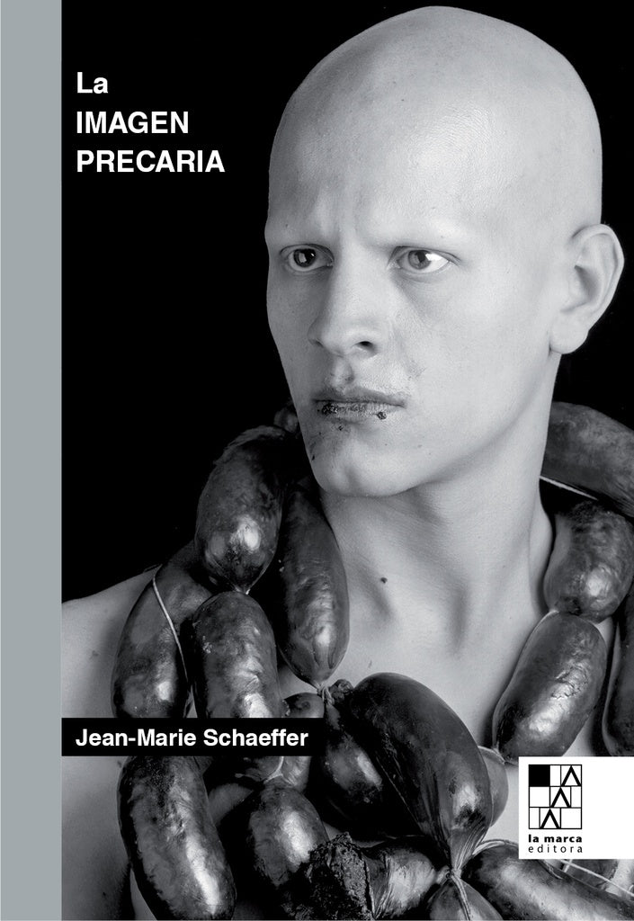 IMAGEN PRECARIA, LA | JEAN-MARIE SCHAEFFER