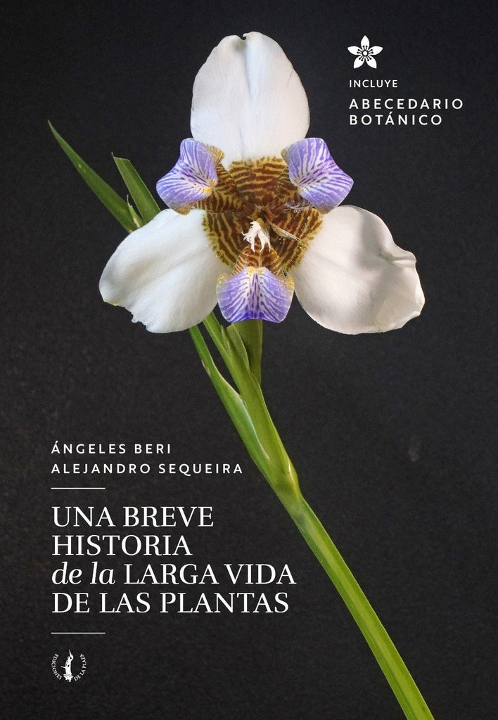 UNA BREVE HISTORIA DE LA LARGA VIDA DE LAS PLANTAS | Angeles Beri