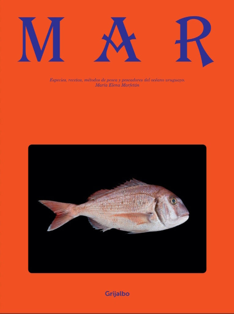 MAR | María Elena Marfetan