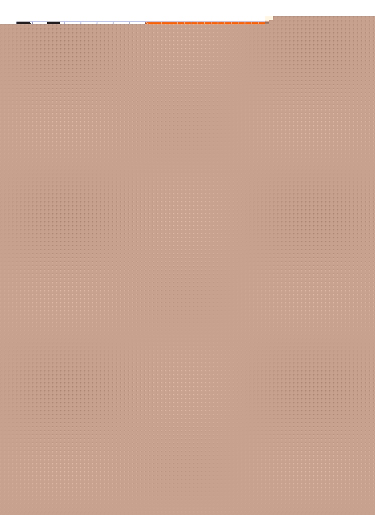 NUEVO DISEÑO EDITORIAL (Nuevo)