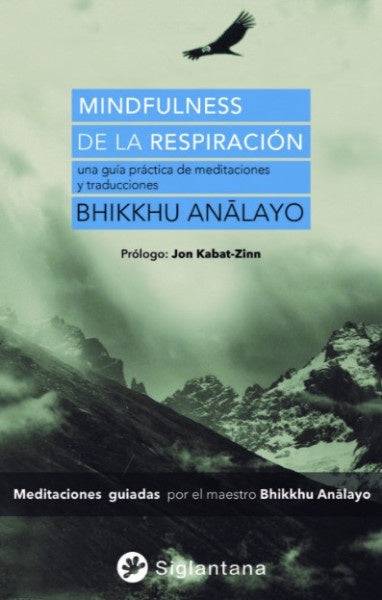 MINDFULNESS EN LA RESPIRACION | Bhikkhu Analayo