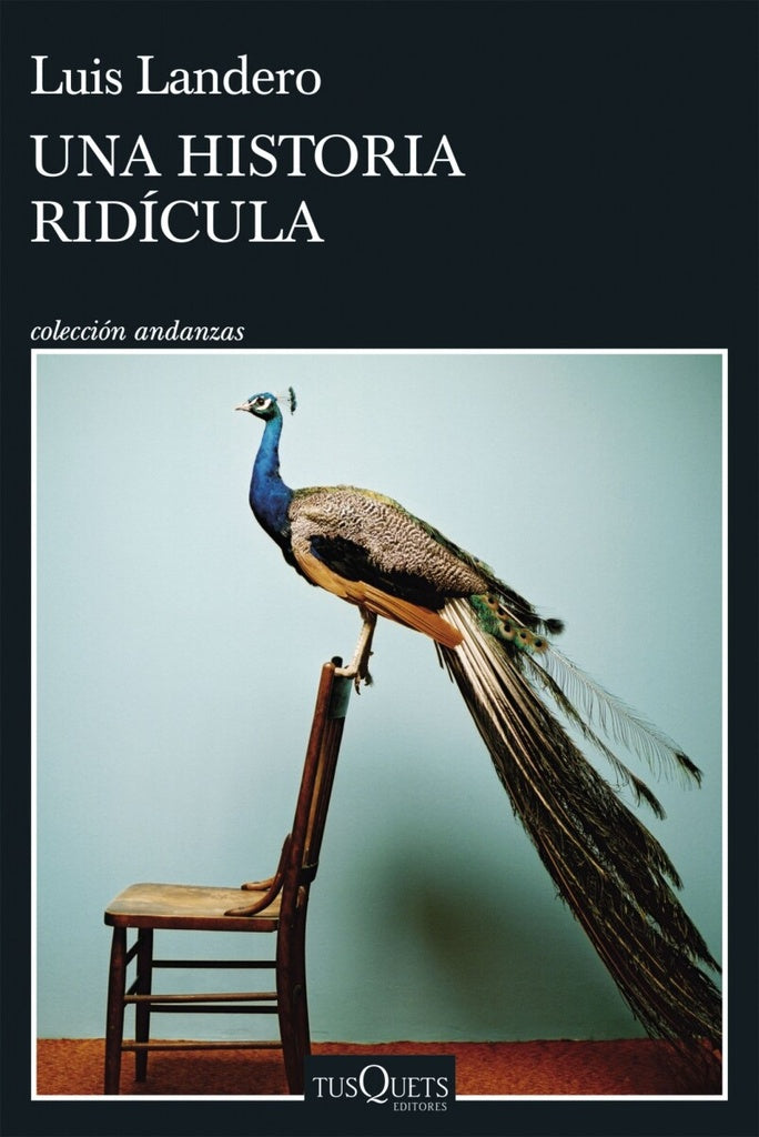 UNA HISTORIA RIDICULA | Luis Landero