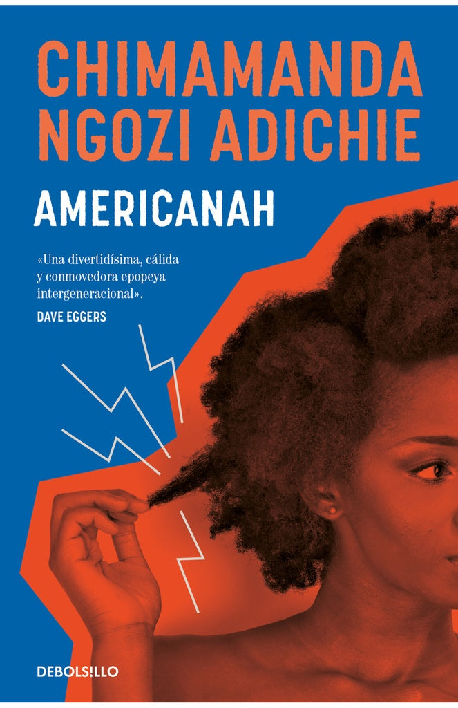 AMERICANAH | Chimamanda Ngozi Adiche