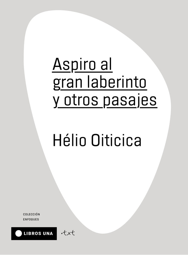 ASPIRO AL GRAN LABERINTO Y OTROS PASAJES | Helio Oiticica