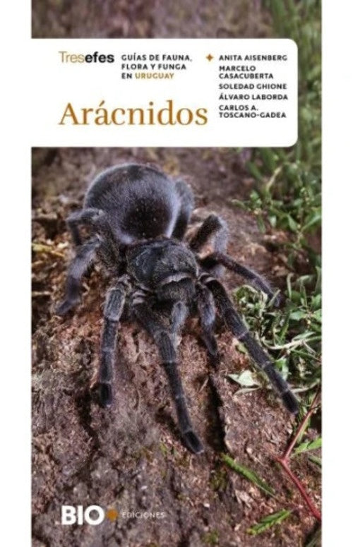 ARACNIDOS | VARIOS AUTORES