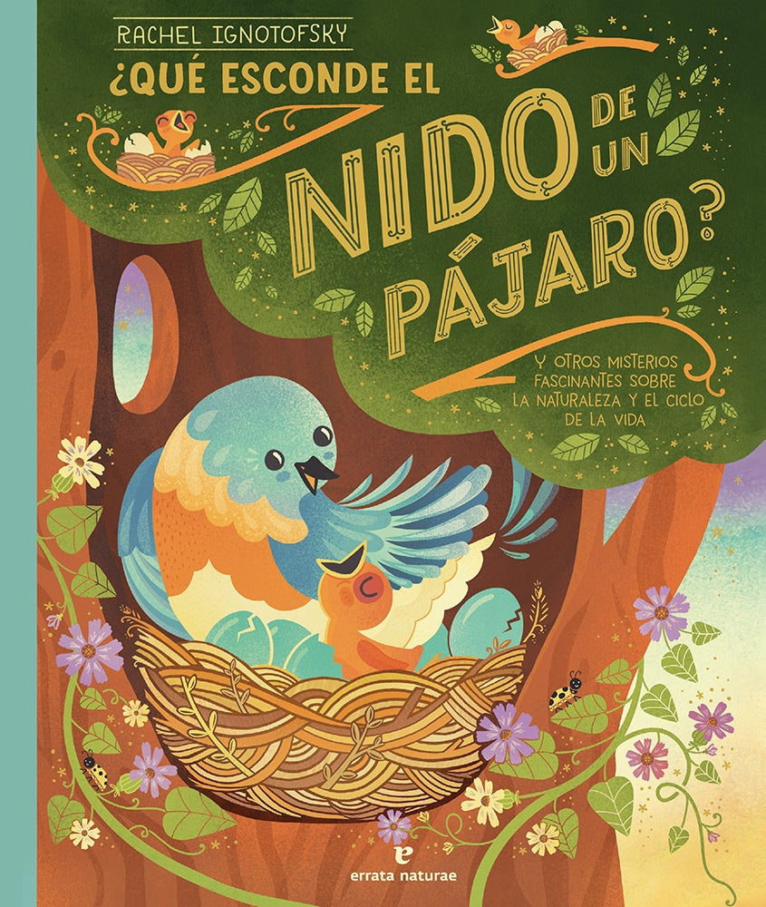 QUE ESCONDE EL NIDO DE UN PÁJARO | RACHEL IGNOTOFSKY