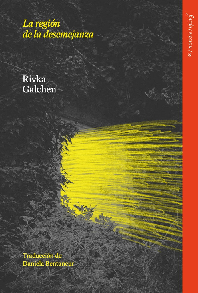REGIÓN DE LA DESEMEJANZA, LA (Nuevo) | Rivka Galchen
