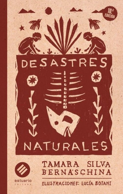 DESASTRES NATURALES (10 ED) | TAMARA SILVA BERNASCHINA