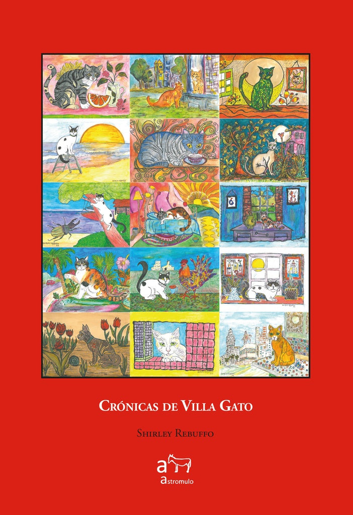CRONICAS DE VILLA GATO | SHIRLEY REBUFFO