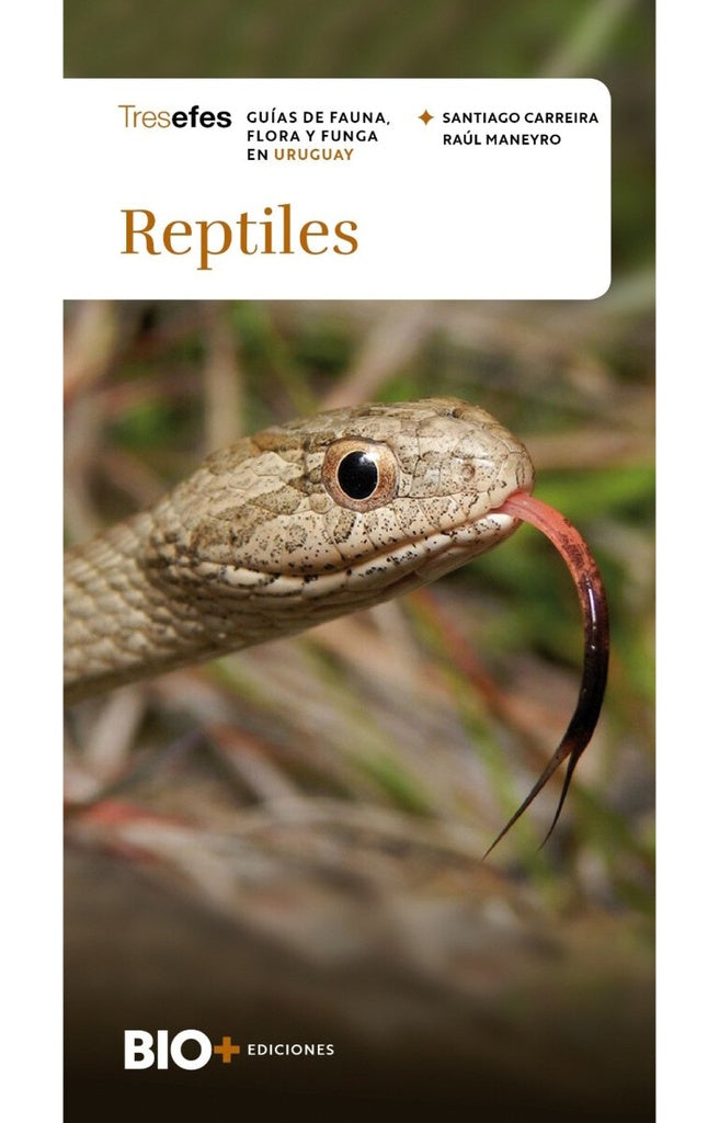 REPTILES | RAUL/ CARREIRA SANTIAGO MANEYRO