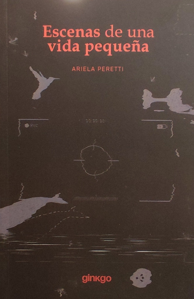 ESCENAS DE UNA VIDA PEQUEÑA | ARIELA PERETTI