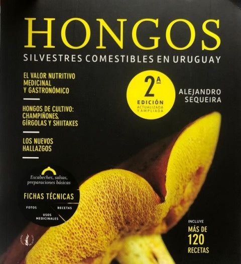 HONGOS | ALEJANDRO SEQUEIRA
