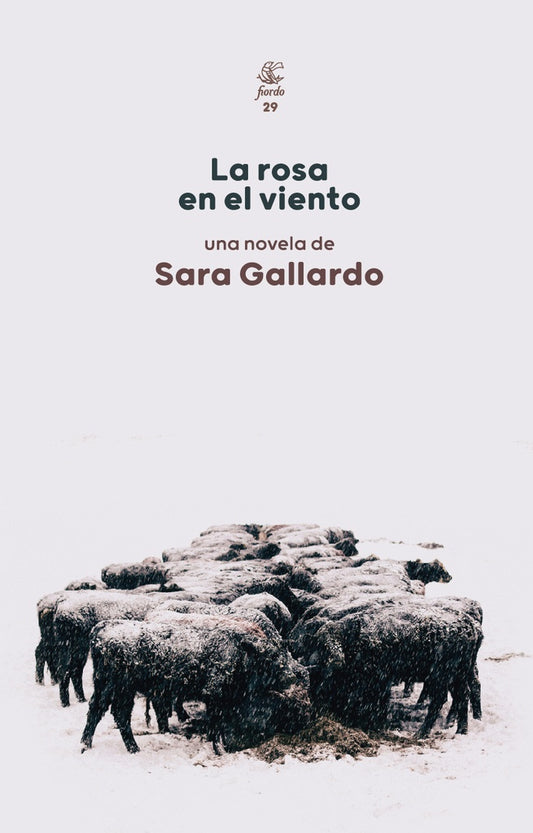 ROSA EN EL VIENTO | SARA GALLARDO