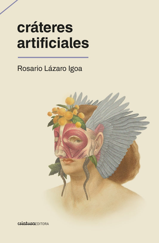 CRÁTERES ARTIFICIALES | ROSARIO LAZARO IGOA