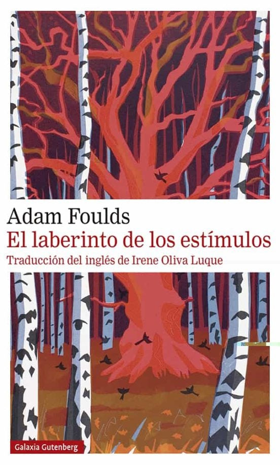 LABERINTO DE LOS ESTIMULOS, EL | ADAM FOULDS
