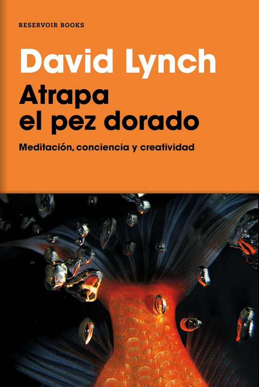ATRAPA EL PEZ DORADO | David Lynch