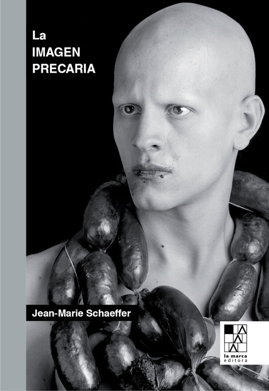 IMAGEN PRECARIA, LA | JEAN-MARIE SCHAEFFER