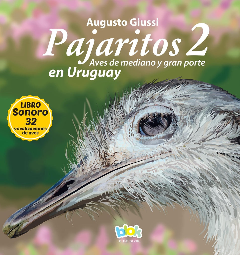 PAJARITOS EN URUGUAY 2 | GIUSSI AUGUSTO