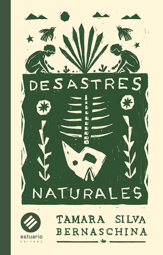 DESASTRES NATURALES  | TAMARA  SILVA BERNASCHINA