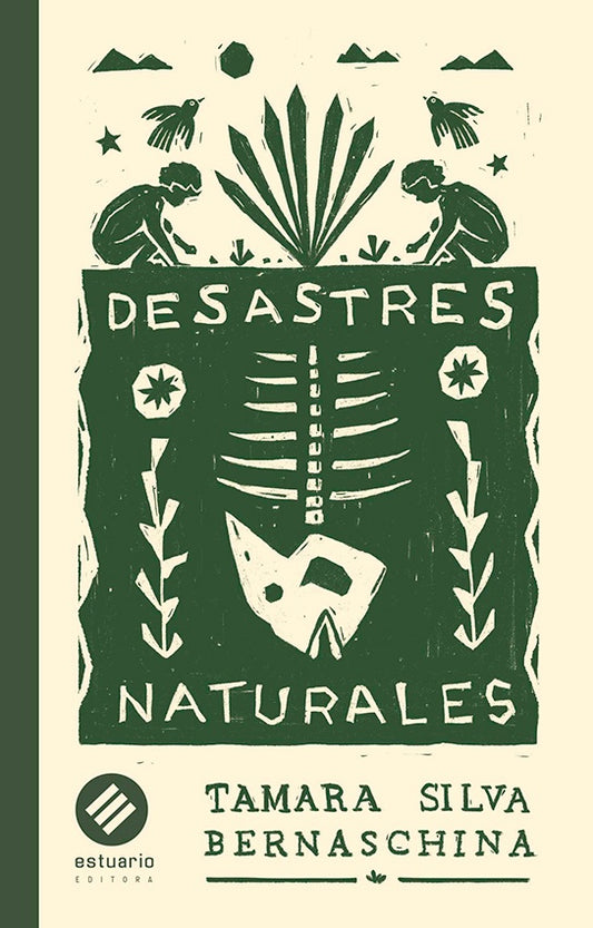 DESASTRES NATURALES  | TAMARA  SILVA BERNASCHINA