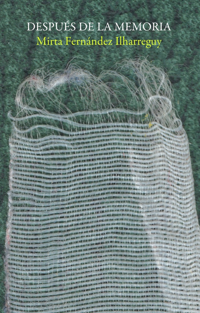 DESPUES DE LA MEMORIA | MIRTA  FERNANDEZ ILHARREGUY