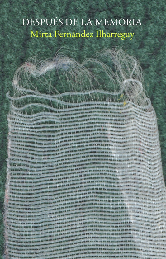 DESPUES DE LA MEMORIA | MIRTA  FERNANDEZ ILHARREGUY