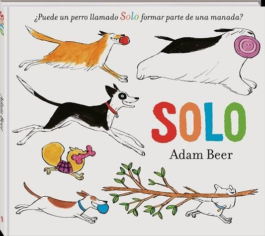 SOLO | ADAM BEER