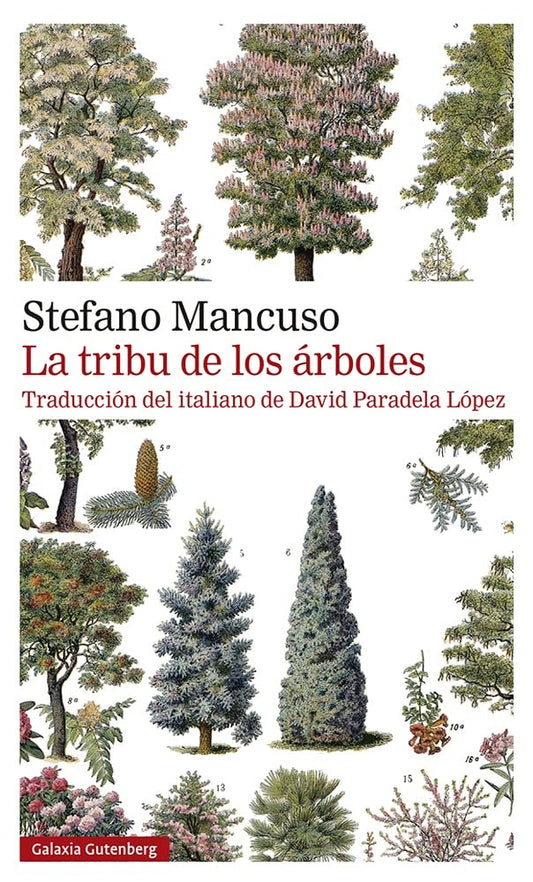 LA TRIBU DE LOS ARBOLES | STEFANO MANCUSO