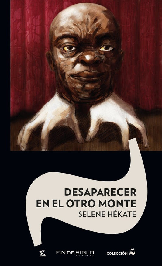 DESAPARECER EN EL OTRO MONTE | SELENE  HEKATE