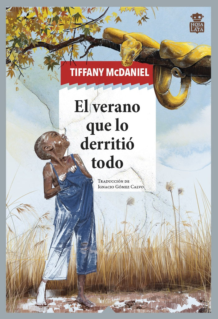 EL VERANO QUE DERRITIO TODO | Tiffany McDaniel