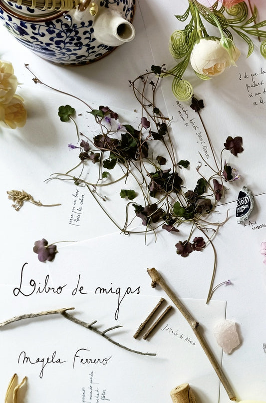 LIBRO DE MIGAS (Nuevo) | MAGELA  FERRERO