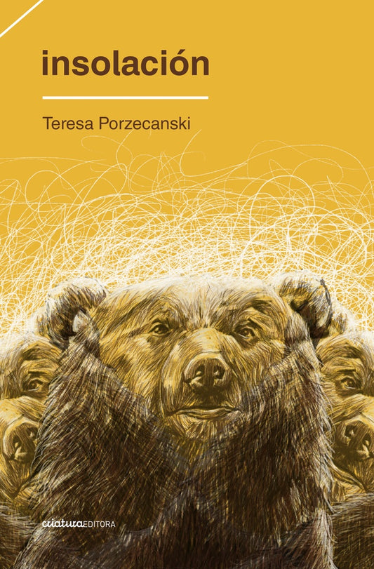 INSOLACION | TERESA PORZECANSKI