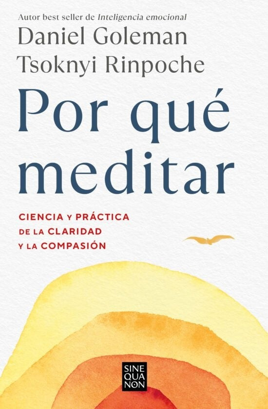 POR QUE MEDITAR | Daniel Goleman