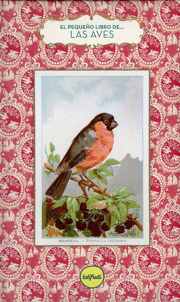 EL PEQUEÑO LIBRO DE LAS AVES