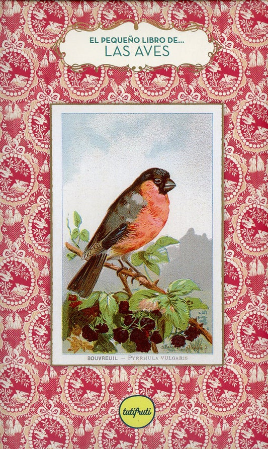 EL PEQUEÑO LIBRO DE LAS AVES