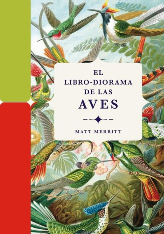 EL LIBRO DIORAMA DE LAS AVES  | MATT MERRITT