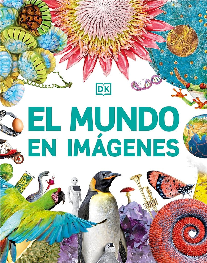 EL MUNDO EN IMÁGENES