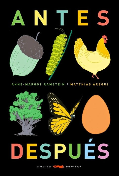 ANTES DESPUES | Anne Margot Ramstein