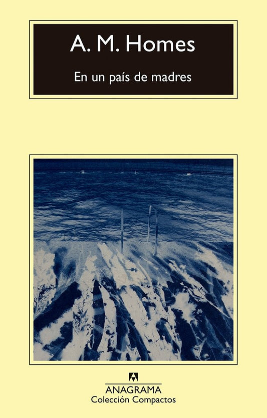 EN UN PAIS DE MADRES | A. M. HOMES