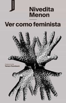 VER COMO FEMINISTA | Nivedita Menon