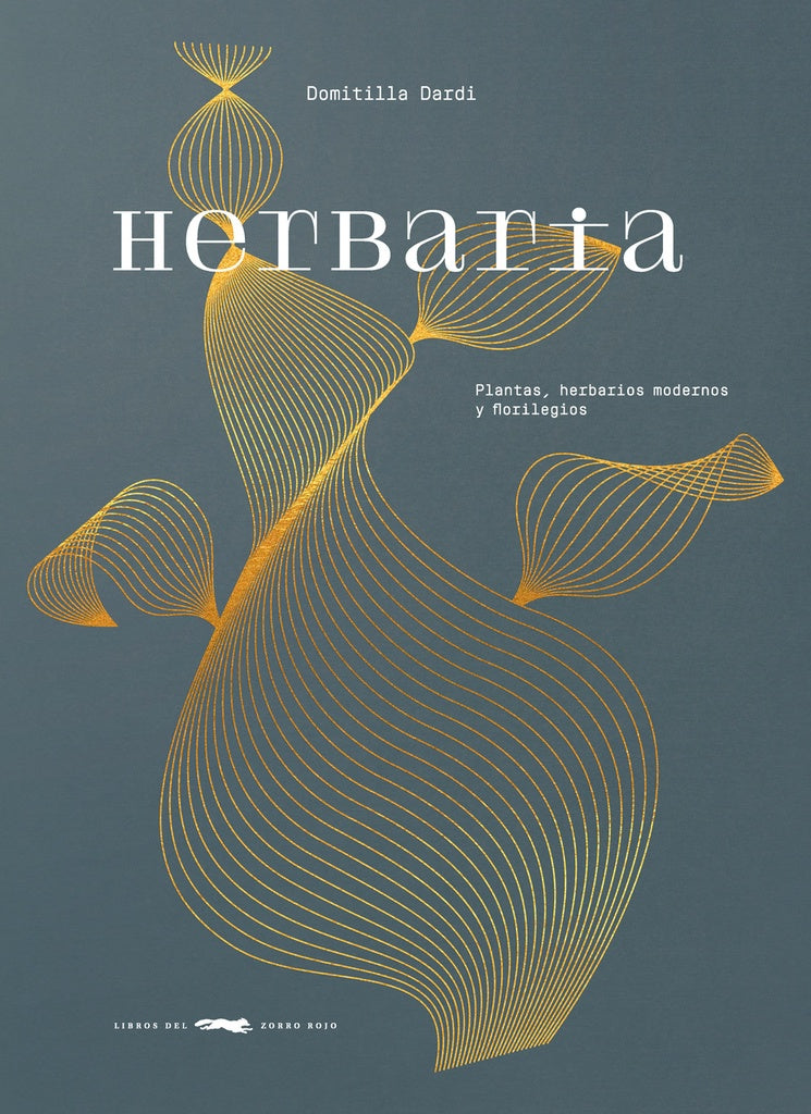 HERBARIA (Nuevo) | DOMITILLA DARDI