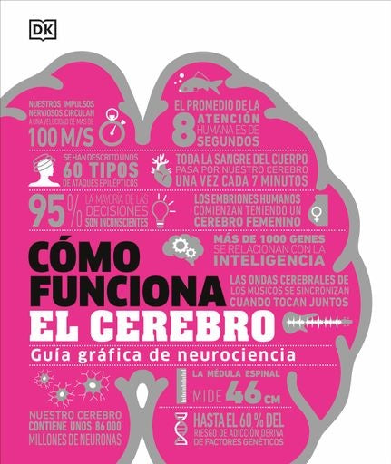 COMO FUNCIONA EL CEREBRO | VARIOS AUTORES