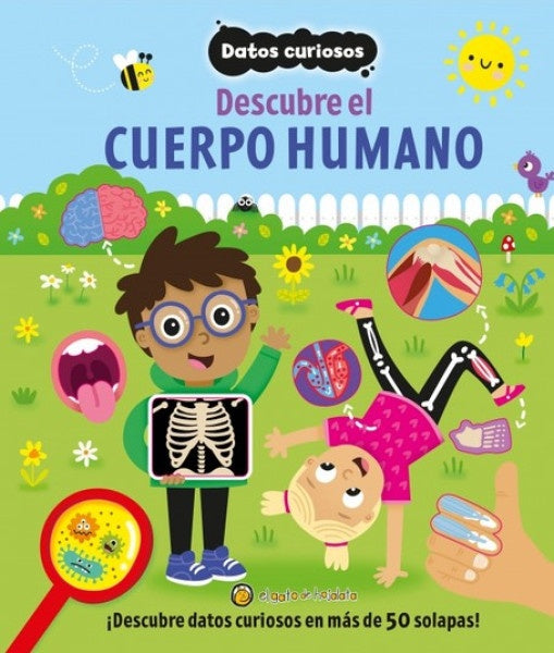 DATOS CURIOSOS - CUERPO HUMANO | VARIOS AUTORES