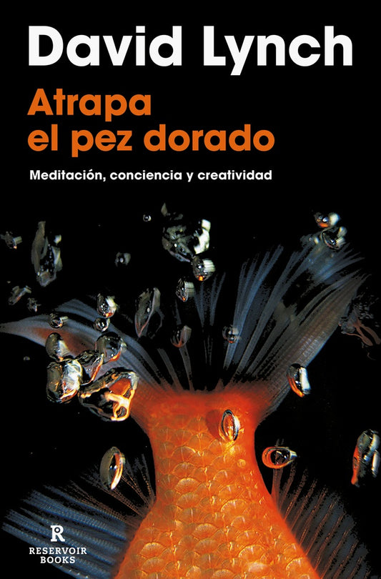ATRAPA AL PEZ DORADO | David Lynch