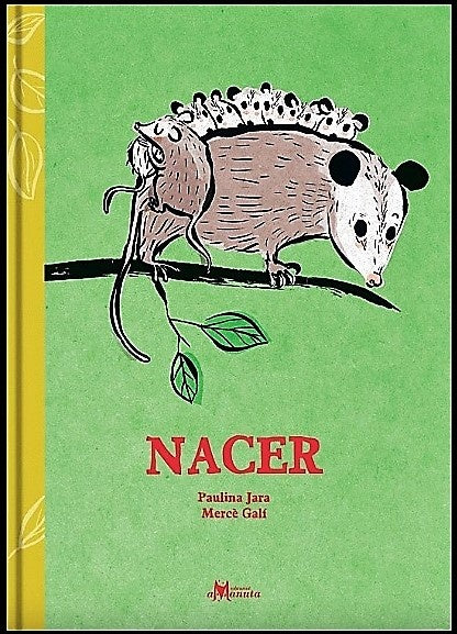 NACER (Nuevo) | PAULINA JARA / MERCÈ GALÍ (ILUST.)