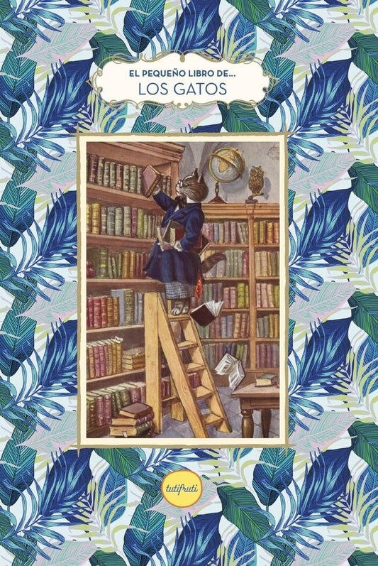 EL PEQUEÑO LIBRO DE LOS GATOS | VARIOS